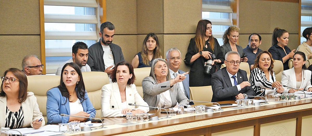 Çevrecilerin durumu