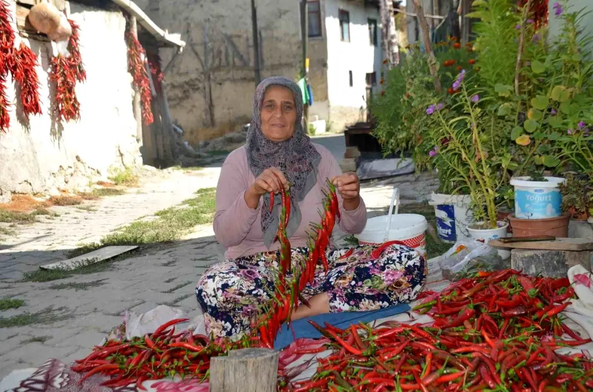 cukurorenin kirmizi altini 160 yillik biber uretimi xTlh6JFL