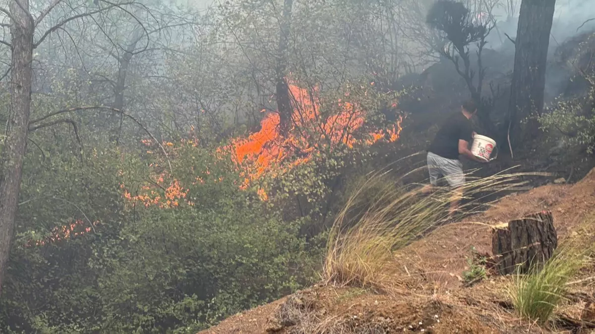 koycegizde orman yangini 173 kisi tahliye edildi YYcV4aB3