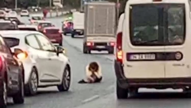 trafikte korku dolu anlar qx93JZuy