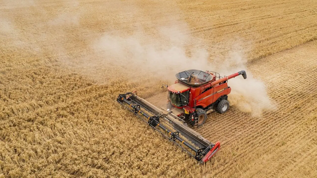 tuik acikladi ciftcinin enflasyonu belli oldu YXGUteWW