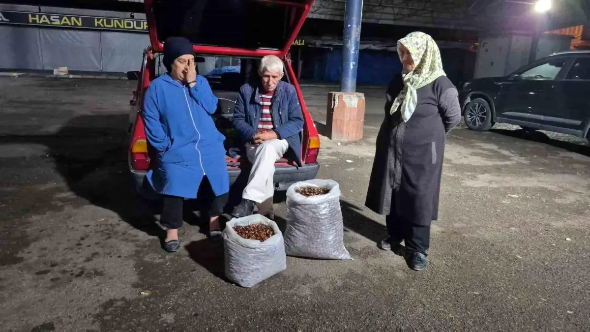 kuraklik kestane rekoltesini vurdu fiyatlar yukseliyor 4ld5KtdC.jpg
