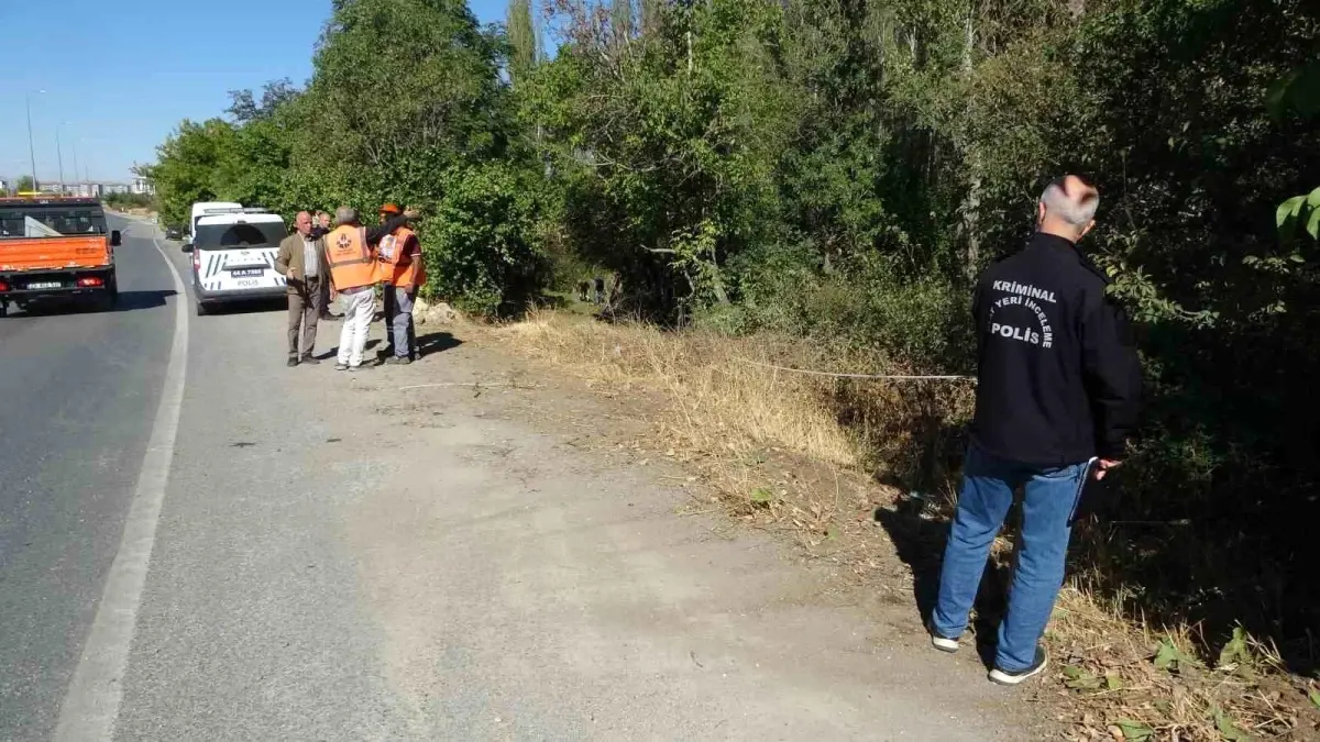 malatyada otomobil kayisi bahcesine uctu 1 yarali Y8JC2XOv.jpg