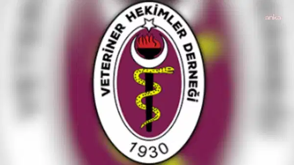 veteriner hekimlerden yuksek ruhsat harclarina tepki toplum sagligini zayiflatacak VlAETBUh.jpg