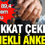 emekli-anketi-forum-enstitusunden-yuzde-894-gundem-oldu-lvfAQBVf