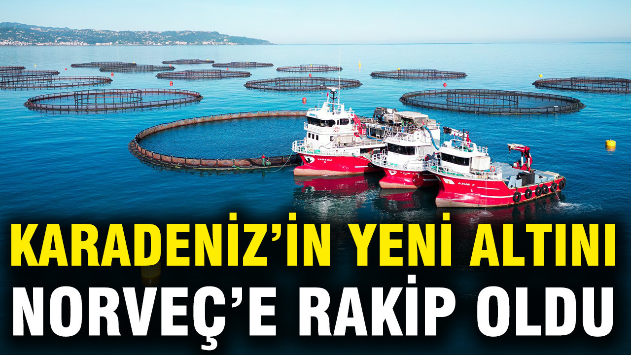 karadenizin-yeni-altini-norvece-rakip-oldu-turk-somonuna-rekor-talep-aDhwNi2y