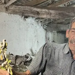 6 yıldır evinin altında üretiyor: 40 günde 216 bin TL kazanıyor