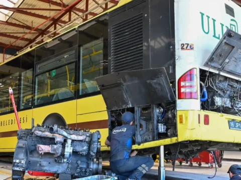 Haber gorseli